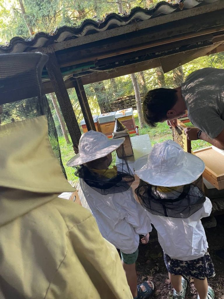 Bienenpatenschaft. Imker Elmar Daubenmaier mit Kindern am Bienenstand.