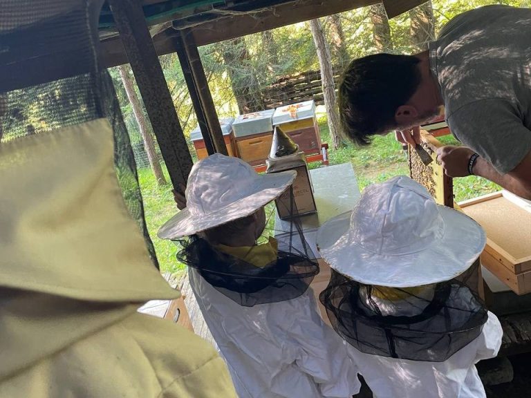 Besuch von Kindern bei unseren Bienen. Vortrag von Imker Elmar Daubenmaier