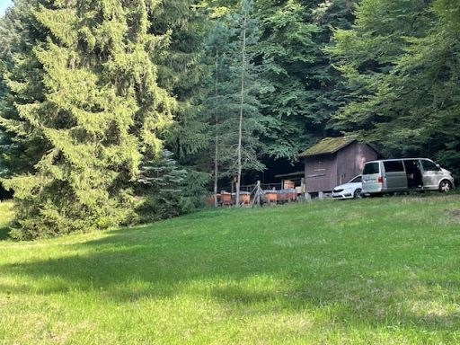 Bienenstand im Wald. 