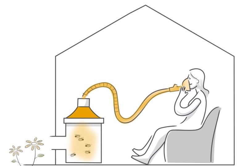 Graphische Darstellung einer Bienenstockluft-Sitzung. Kunde im Bienenhaus mit BeeCura-System.