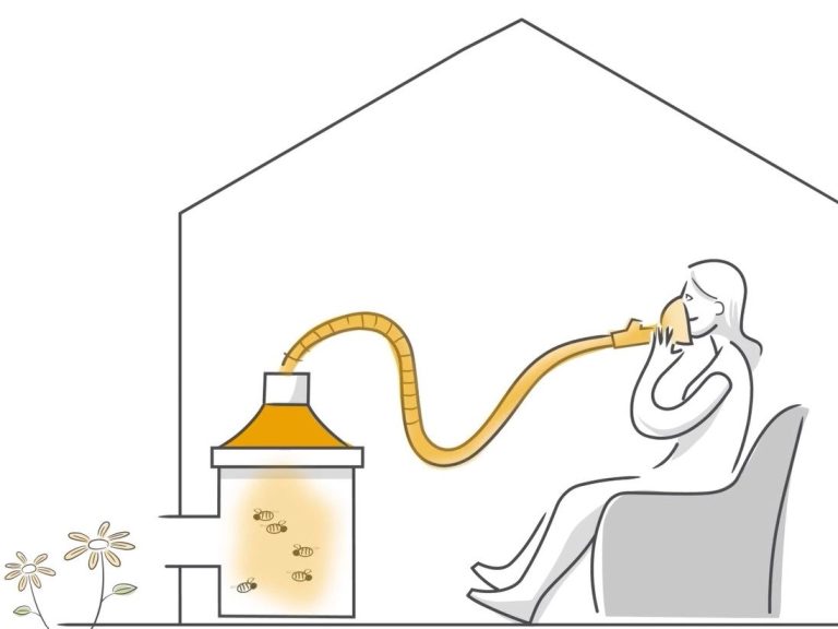 Bienenstockluft Darstellung der Anwendung. Kunde sitzt im Bienenhaus