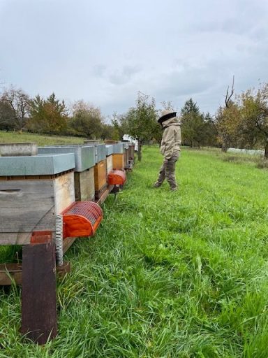 Arbeiten bei den Bienen im Herbst. Anbringen der Hornissenschutze.