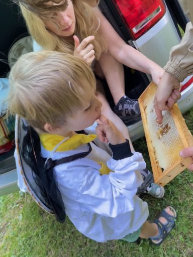 Honigverkostung der Kinder. Direkt aus der Wabe.