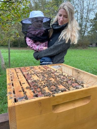 Besuch bei den Bienen. Kleines Kind mit Schleier auf dem Arm seiner Mutter schaut ins offene Bienenvolk.